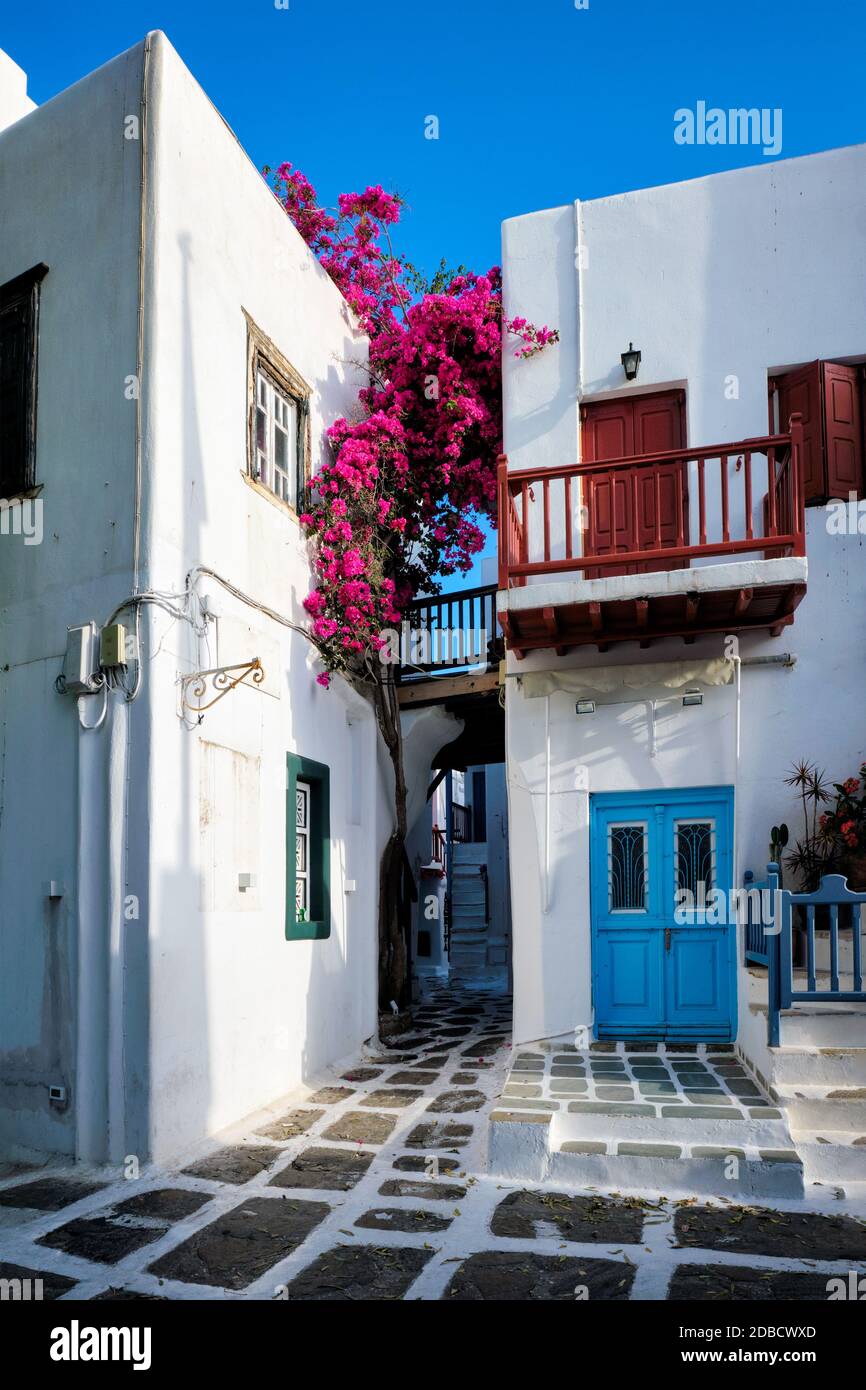 Pittoresques ruelles étroites avec maisons traditionnelles blanchies à la chaux et bleues Portes-fenêtres de la ville de Mykonos Chora dans la célèbre attraction touristique Mykon Banque D'Images