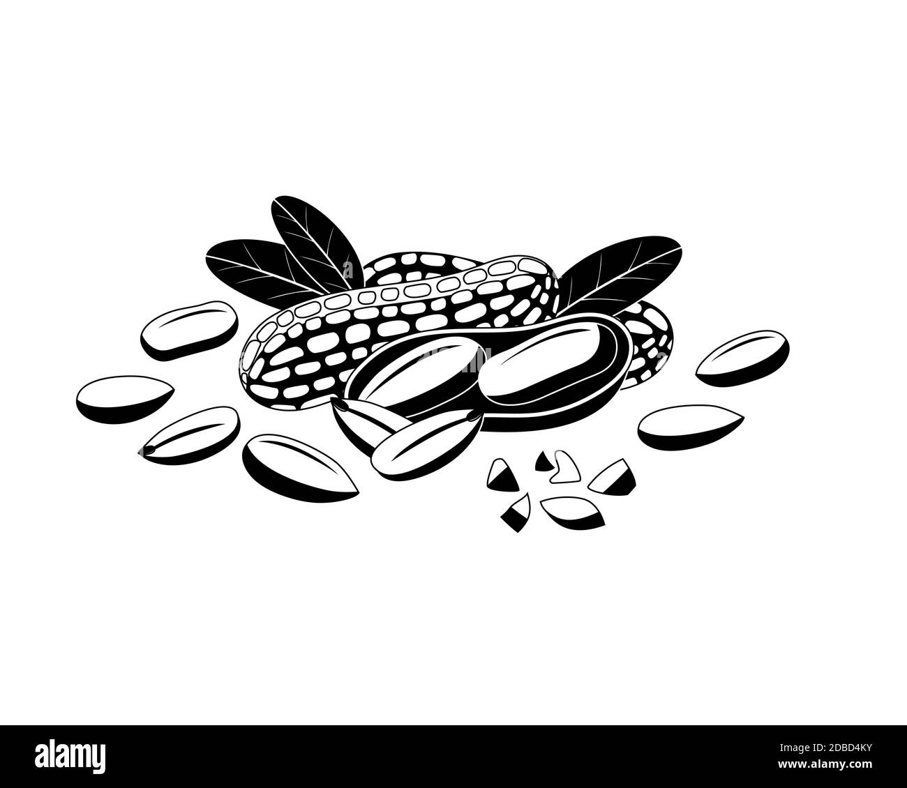 Icône de noir d'arachide sur blanc. Illustration de Vecteur