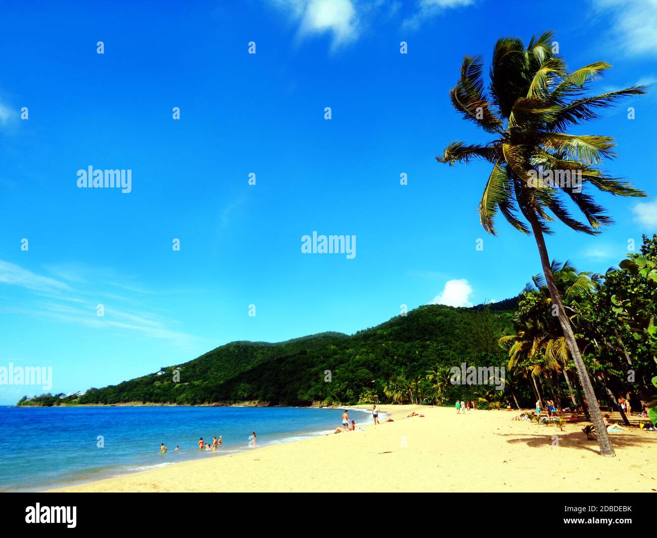 Plage de Grande-Anse près de Deshaies, Guadeloupe Banque D'Images