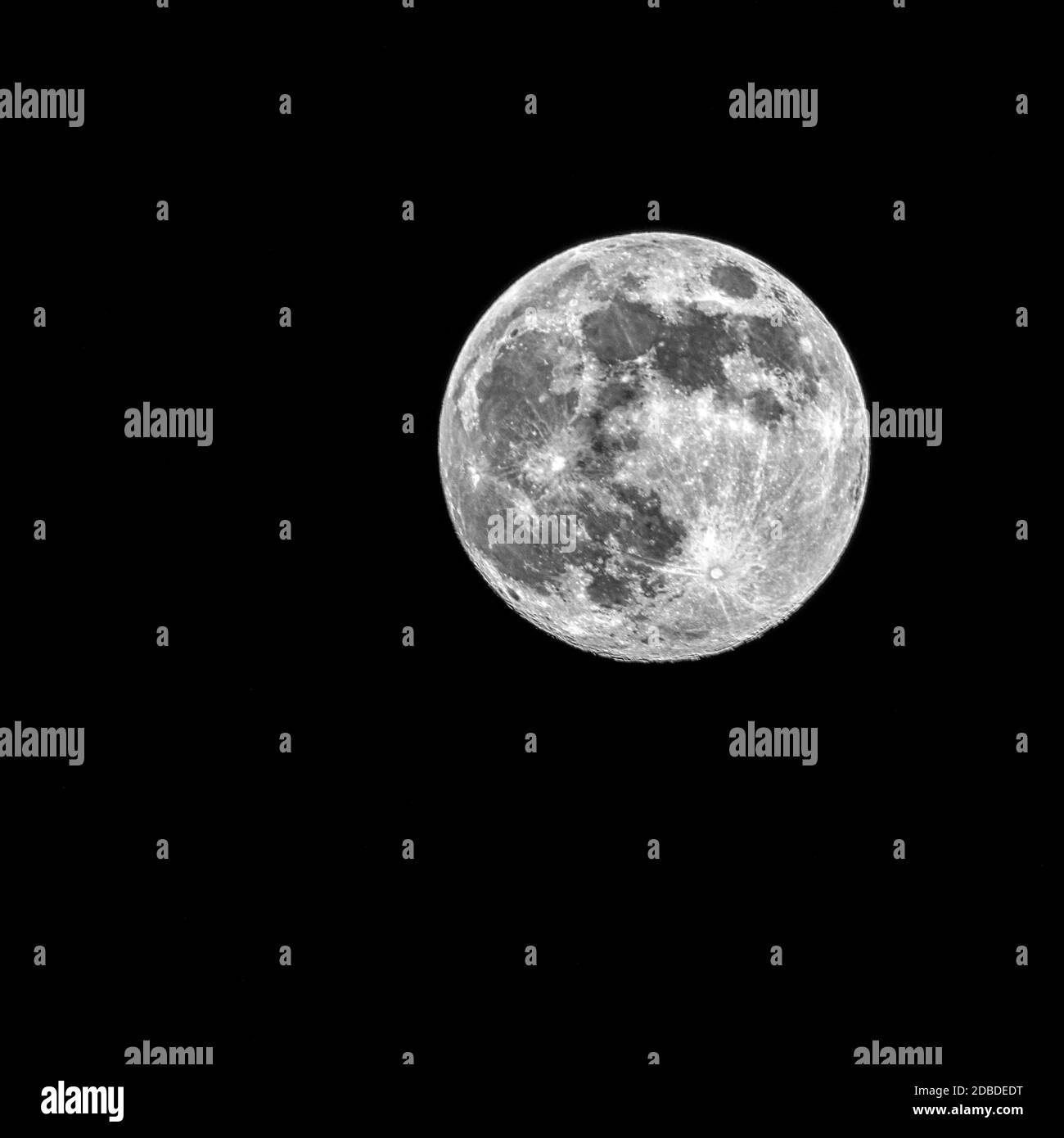 Fleur pleine lune - Mai 2020 - Londres, Royaume-Uni Banque D'Images