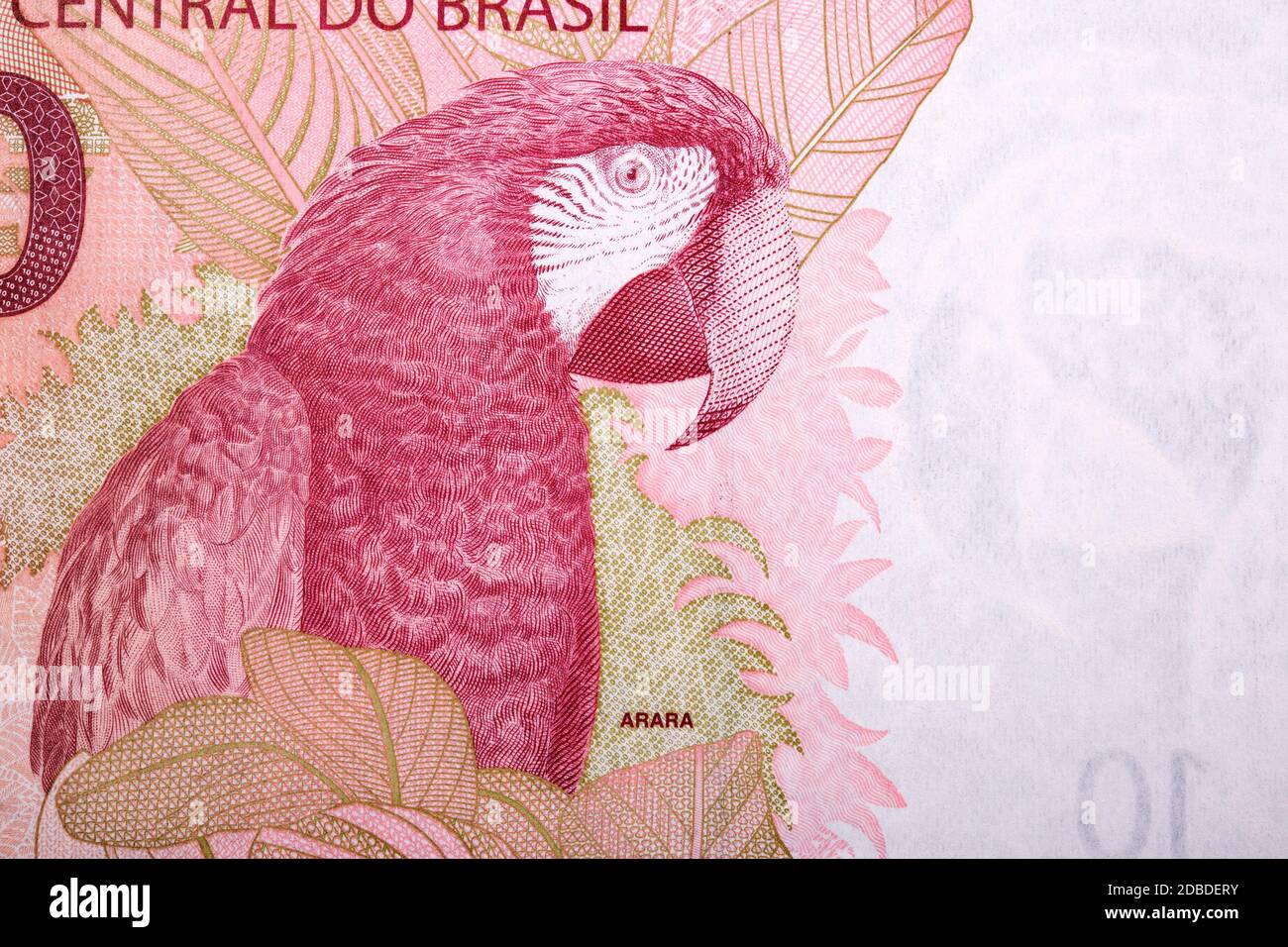 Un portrait de l'argent brésilien Banque D'Images