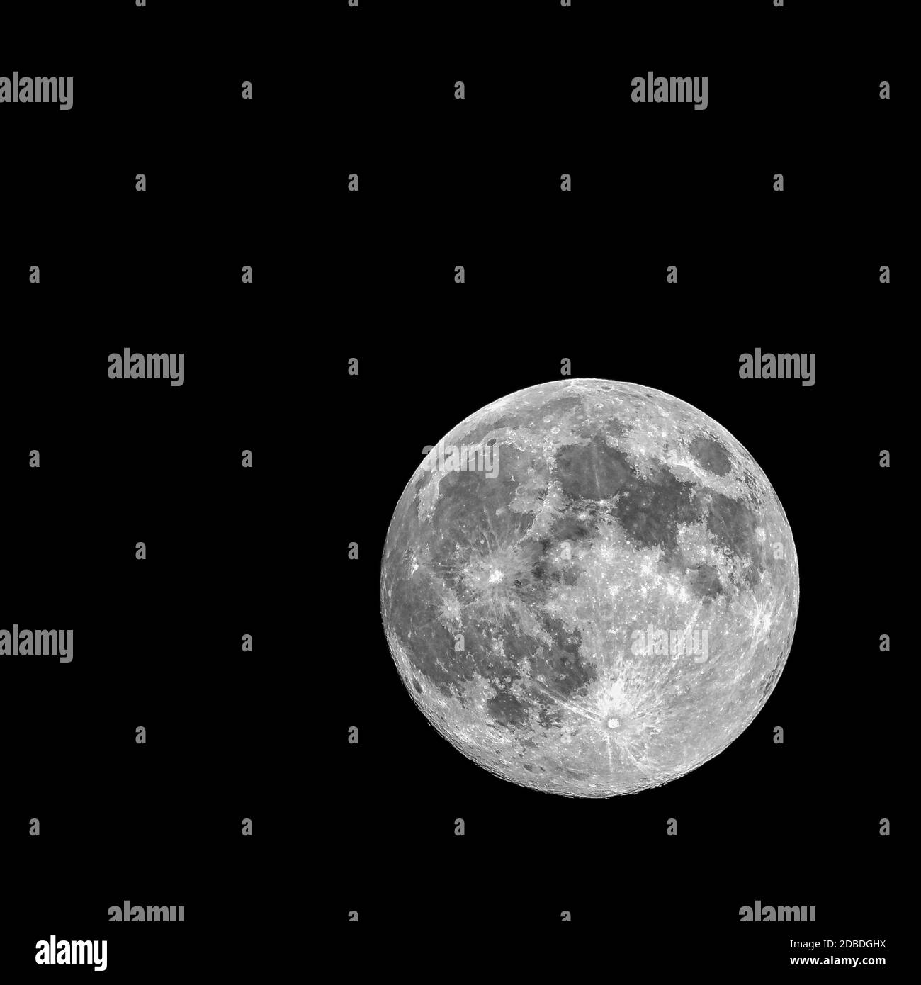 Fleur pleine lune - Mai 2020 - Londres, Royaume-Uni Banque D'Images