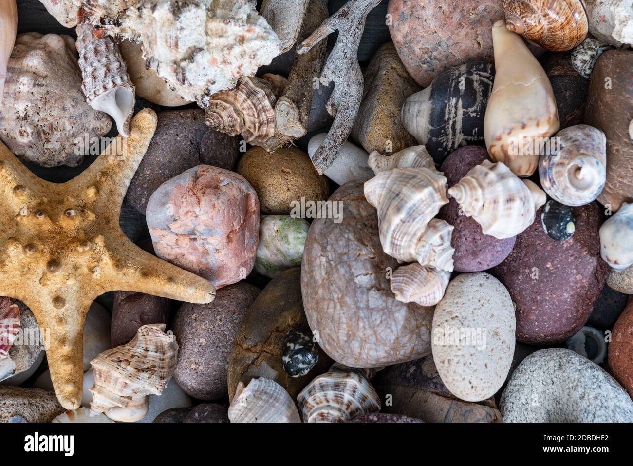 de nombreux escargots et pierres en photo aérienne Banque D'Images
