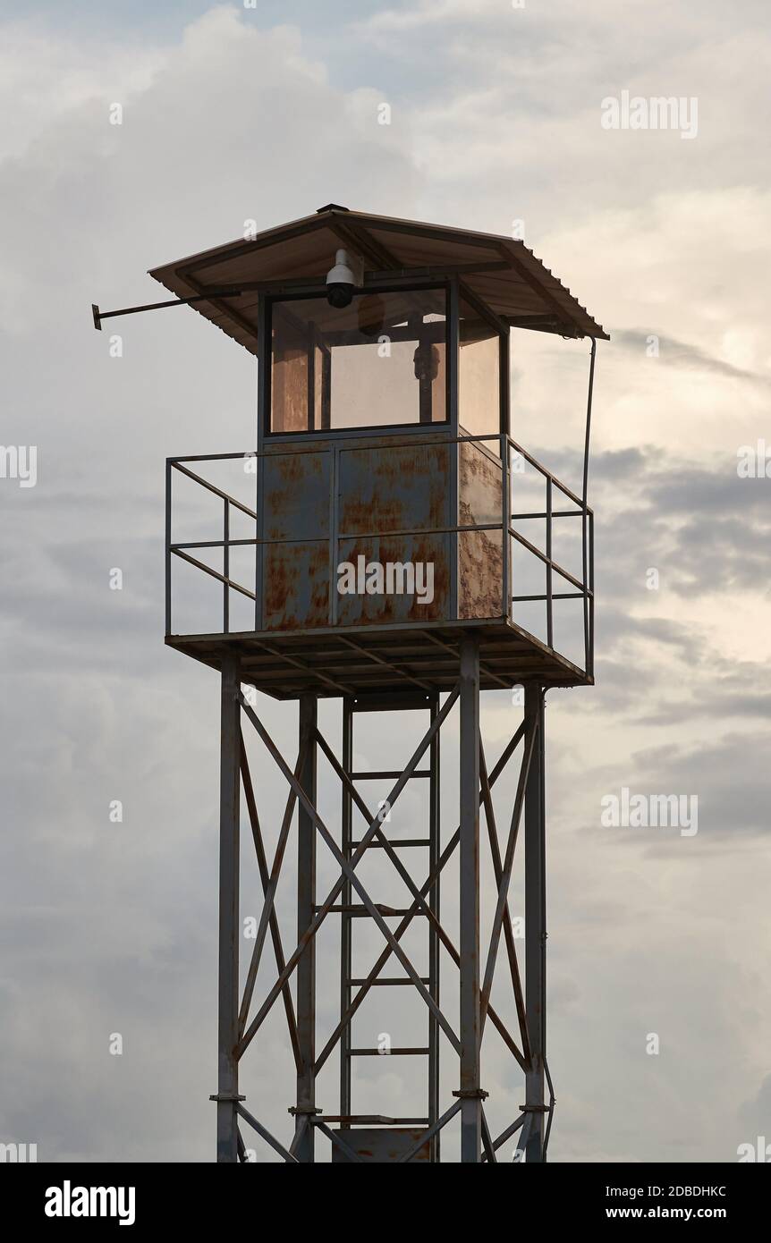 Watchpost sur un Bush par temps brumeux Banque D'Images