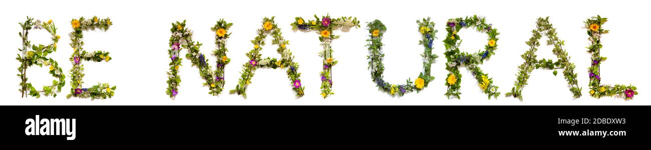 Fleur, branches et Blossom lettre Bâtiment Mot anglais être naturel. Arrière-plan isolé blanc Banque D'Images