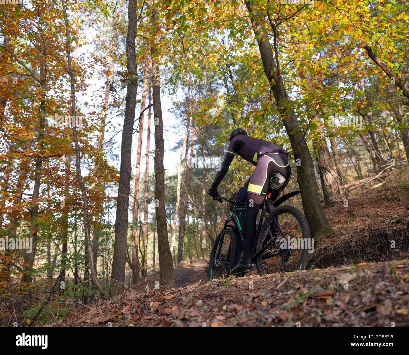 homme en vtt sur la piste dans la forêt d'automne près de zeist aux pays-bas Banque D'Images