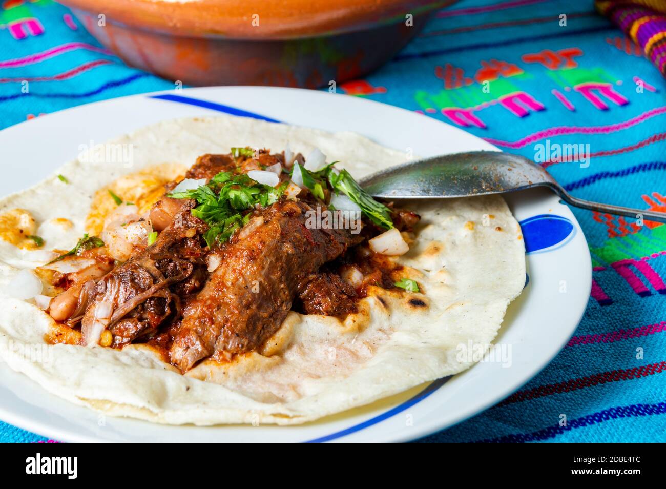 Ragoût traditionnel de birria de bœuf, cuisine mexicaine de l'État de Jalisco. Servi avec des oignons frais, de la coriandre et des tortillas de maïs. Un petit déjeuner et une gueule de bois populaires Banque D'Images