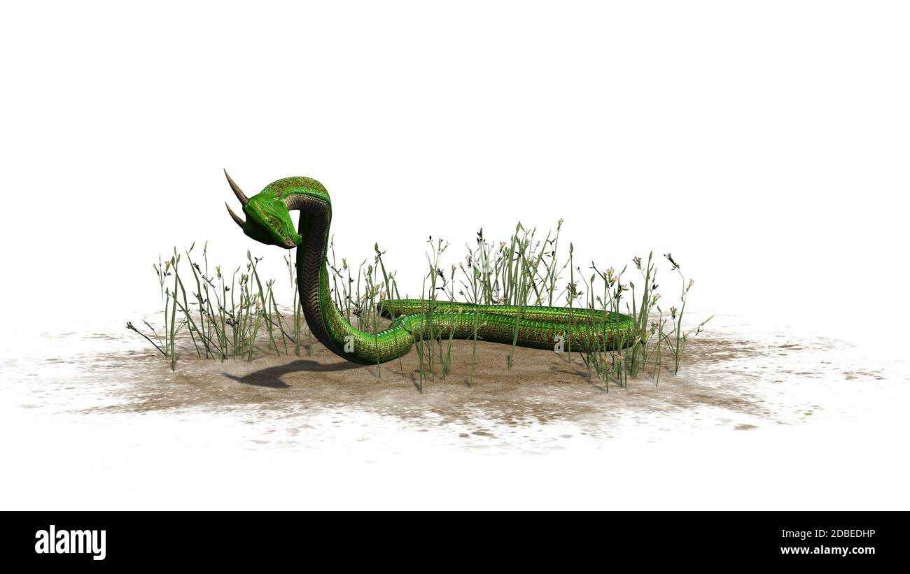 Serpent vert dans l'herbe sur fond blanc Banque D'Images