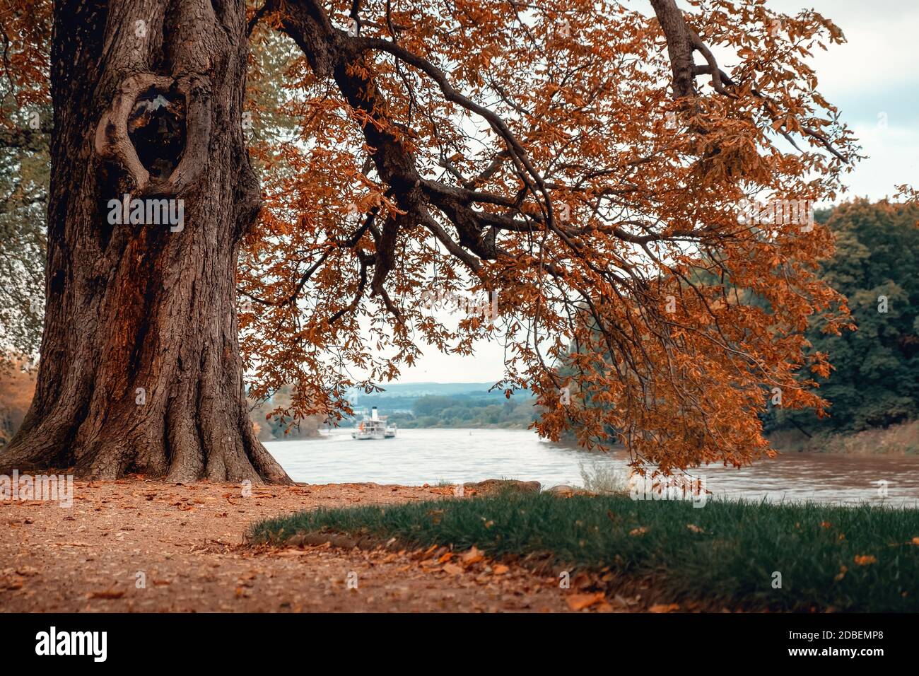 garez-vous dans les couleurs de l'automne Banque D'Images