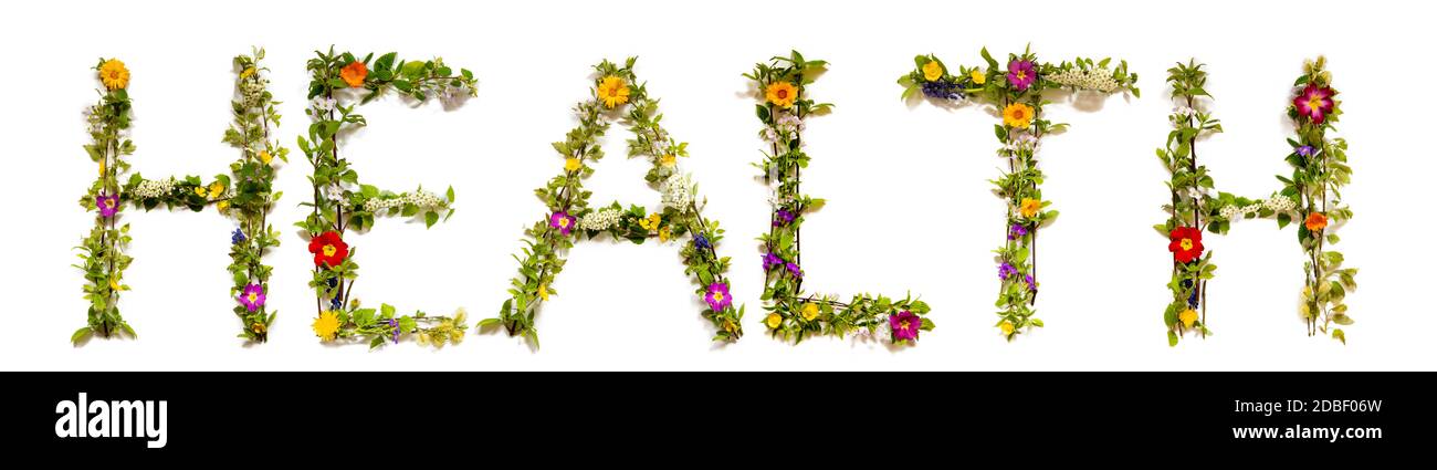 Fleur, branches et Blossom lettre Building English Word Health. Arrière-plan isolé blanc Banque D'Images