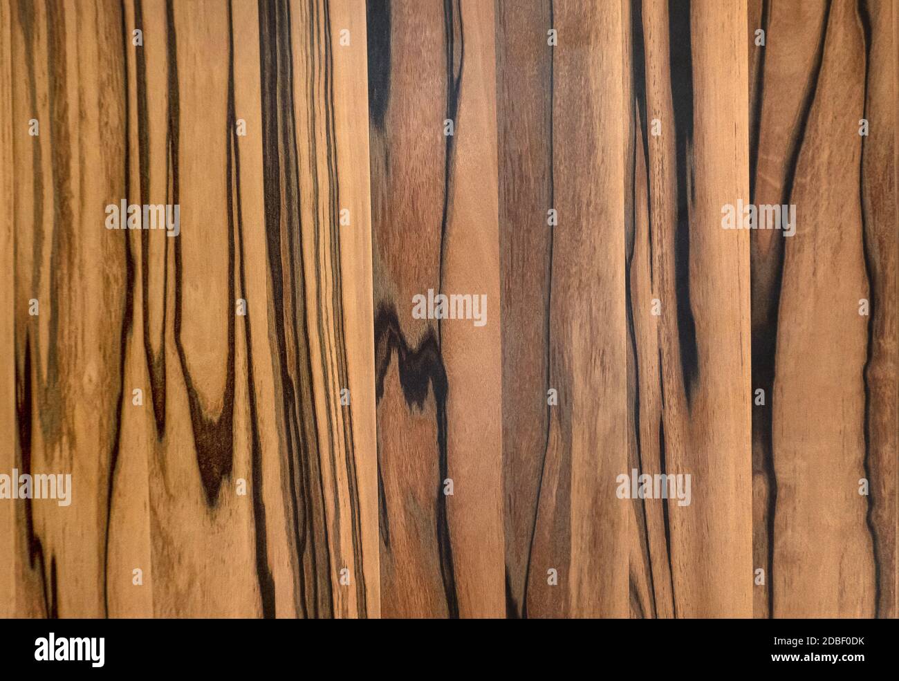 Motif d'un élégant mur intérieur en bois Banque D'Images