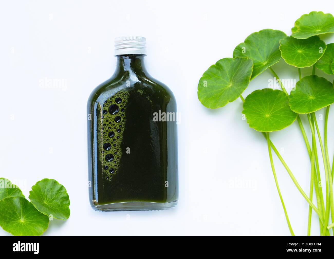 Bouteille de jus de plantes, feuilles de centella asitica vert frais ou plante de l'eau de pennymole ou gotu kola. Concept de boissons saines Banque D'Images