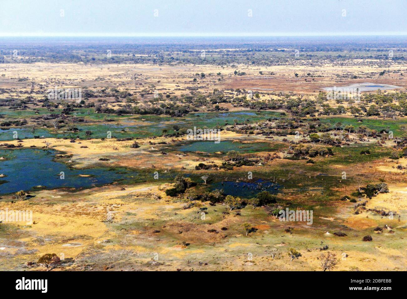 Okavango Delta , Botwana, Afrique Banque D'Images