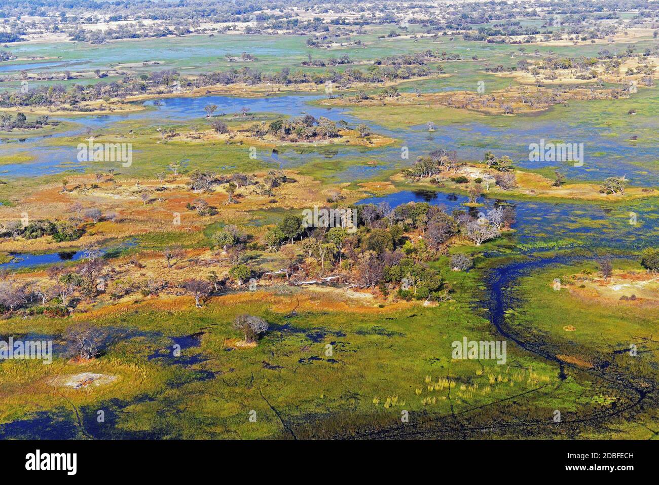 Okavango Delta , Botwana, Afrique Banque D'Images