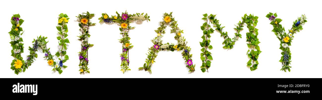 Fleur, branches et Blossom lettre Bâtiment Mot polonais Witamy Menas Bienvenue. Arrière-plan isolé blanc Banque D'Images