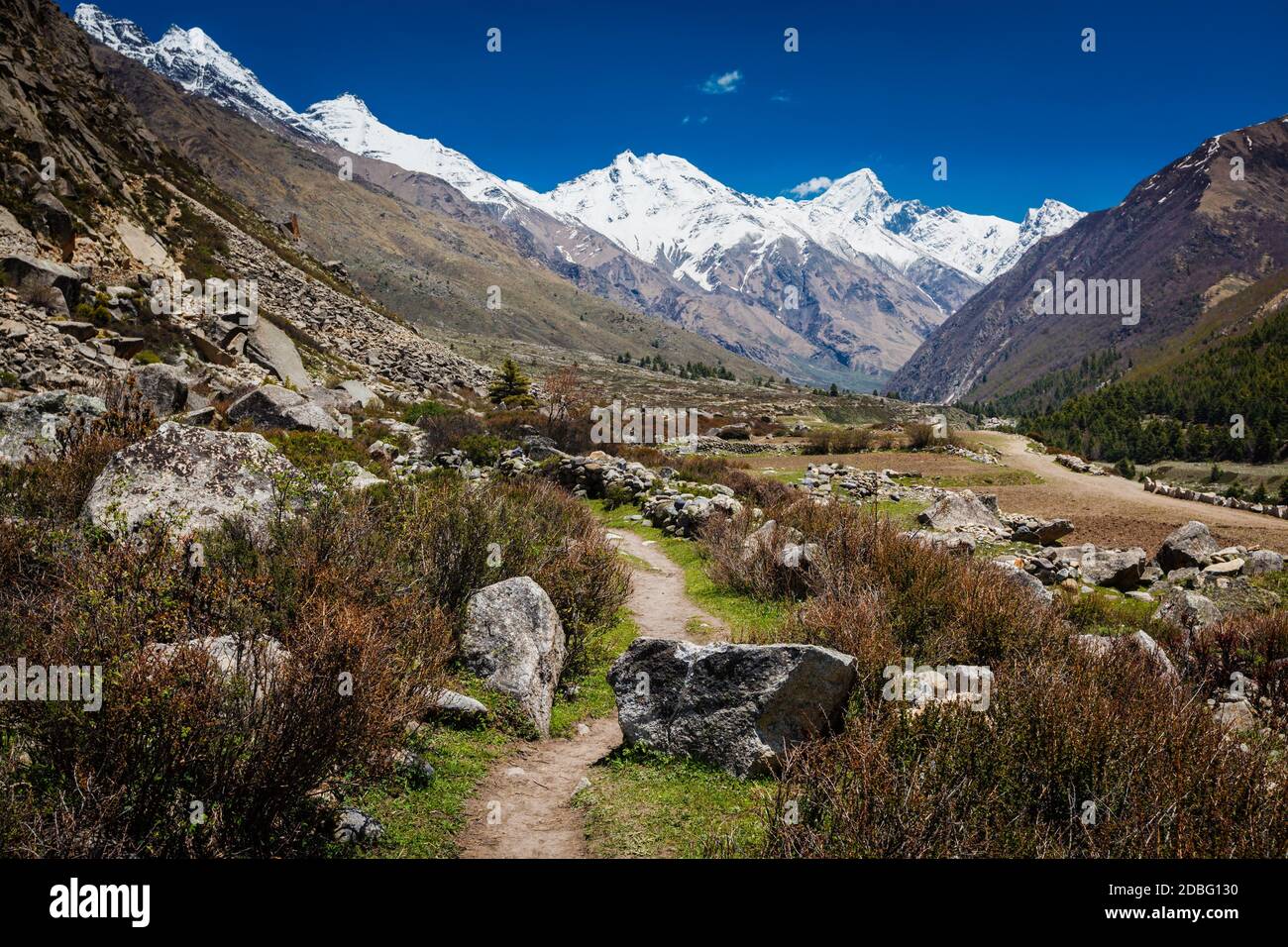 Ancienne route commerciale vers le Tibet. Près du village de Chitkul, vallée de Sangla, Himachal Pradesh, Inde Banque D'Images