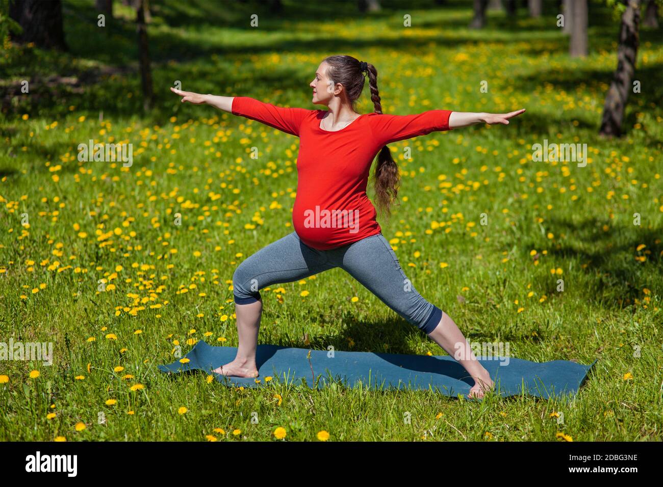 Grossesse exercice de yoga - femme enceinte faisant du yoga asana Virabhadrasana 2 warrior posent à l'extérieur sur l'herbe en été Banque D'Images