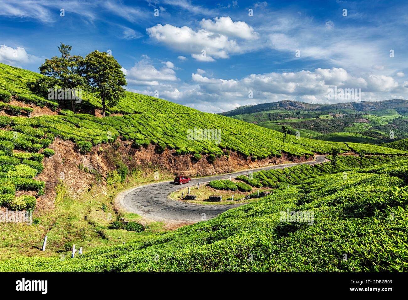 Kerala Inde Voyage fond - voiture sur la route dans les plantations de thé vert à Munnar, Kerala, Inde Banque D'Images
