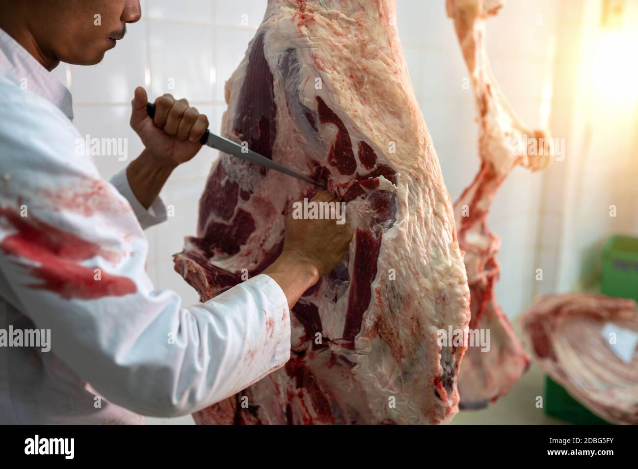 Boucherie coupant du bœuf Wagyu dans l'abattoir. Banque D'Images