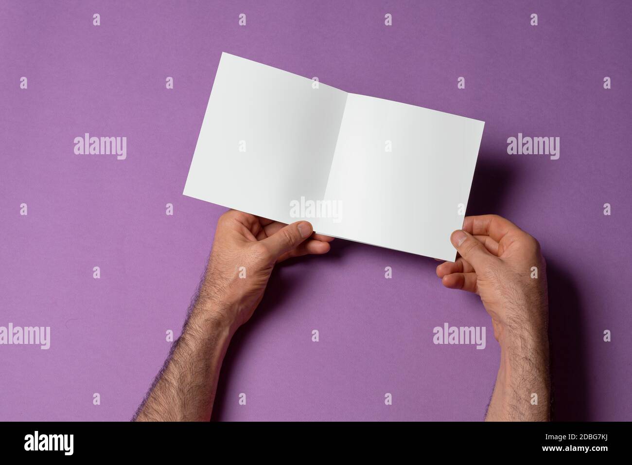 Mains de sexe masculin tenant un catalogue de trois plis de taille carrée ouvert sur fond violet, modèle de série maquette prêt pour votre chemin de sélection de conception inclus Banque D'Images