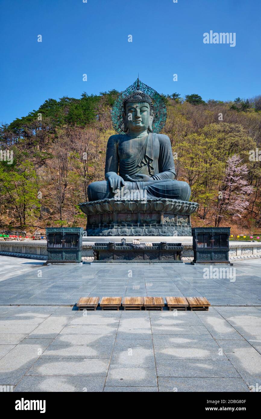 La Grande Unification Tongil Bouddha est un Daebul 14,6 mètres 108 tonne Bouddha de bronze statue dans le Parc National de Seoraksan, la Corée du Sud. Banque D'Images