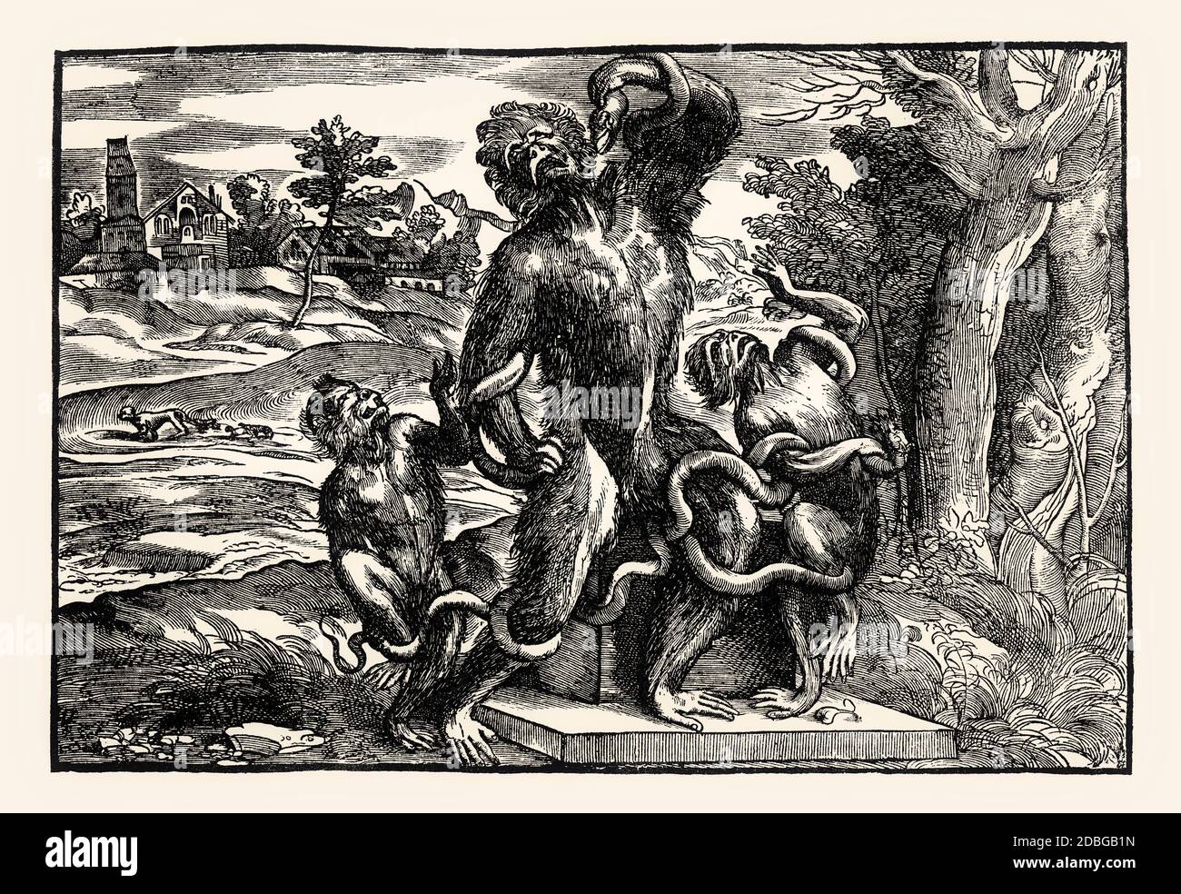 Le Groupe Laocoon en tant que Monkeys, XVIe siècle; par Niccolo Boldrini, d'après Titien, télécopie du XIXe siècle Banque D'Images