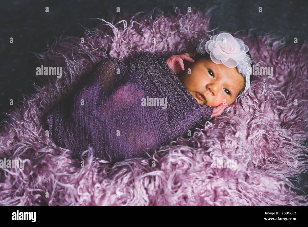 Jeune fille nouveau-né photographiée dans le confort de sa propre maison. Banque D'Images
