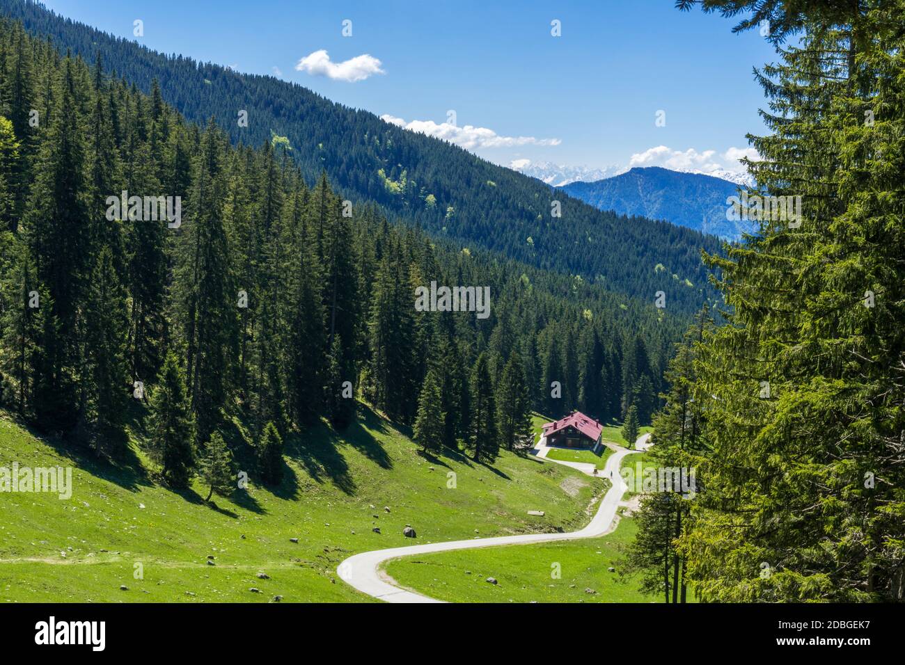 Randonnée dans le Mangfallgebirge Banque D'Images