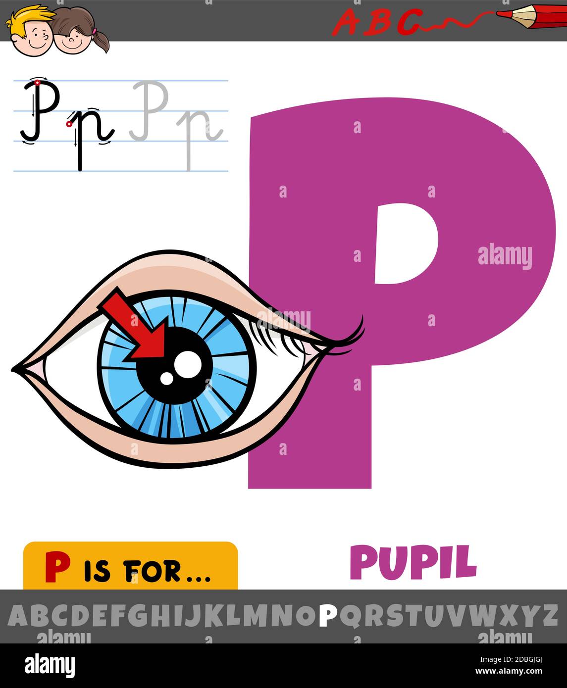 Dessin animé éducatif de la lettre P de l'alphabet avec élève de l'œil pour les enfants Illustration de Vecteur