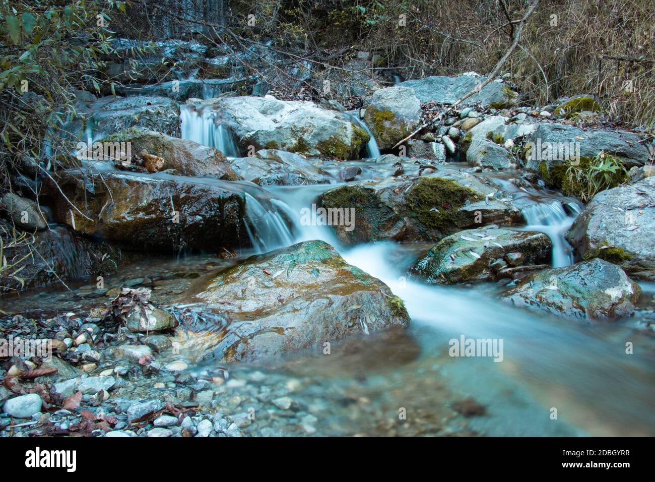 une rivière dans la forêt Banque D'Images