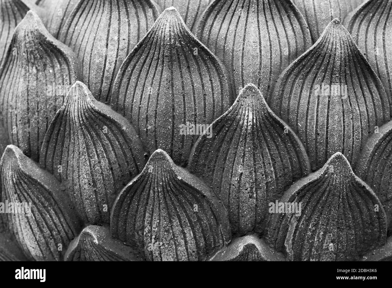 Pot de pétales de fleur sculptés en noir et blanc. Arrière-plan, concepts de texture Banque D'Images