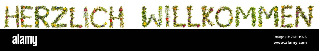 Fleur, branches et Blossom lettre Bâtiment Mot allemand Herzlich Willkommen signifie Bienvenue. Arrière-plan isolé blanc Banque D'Images