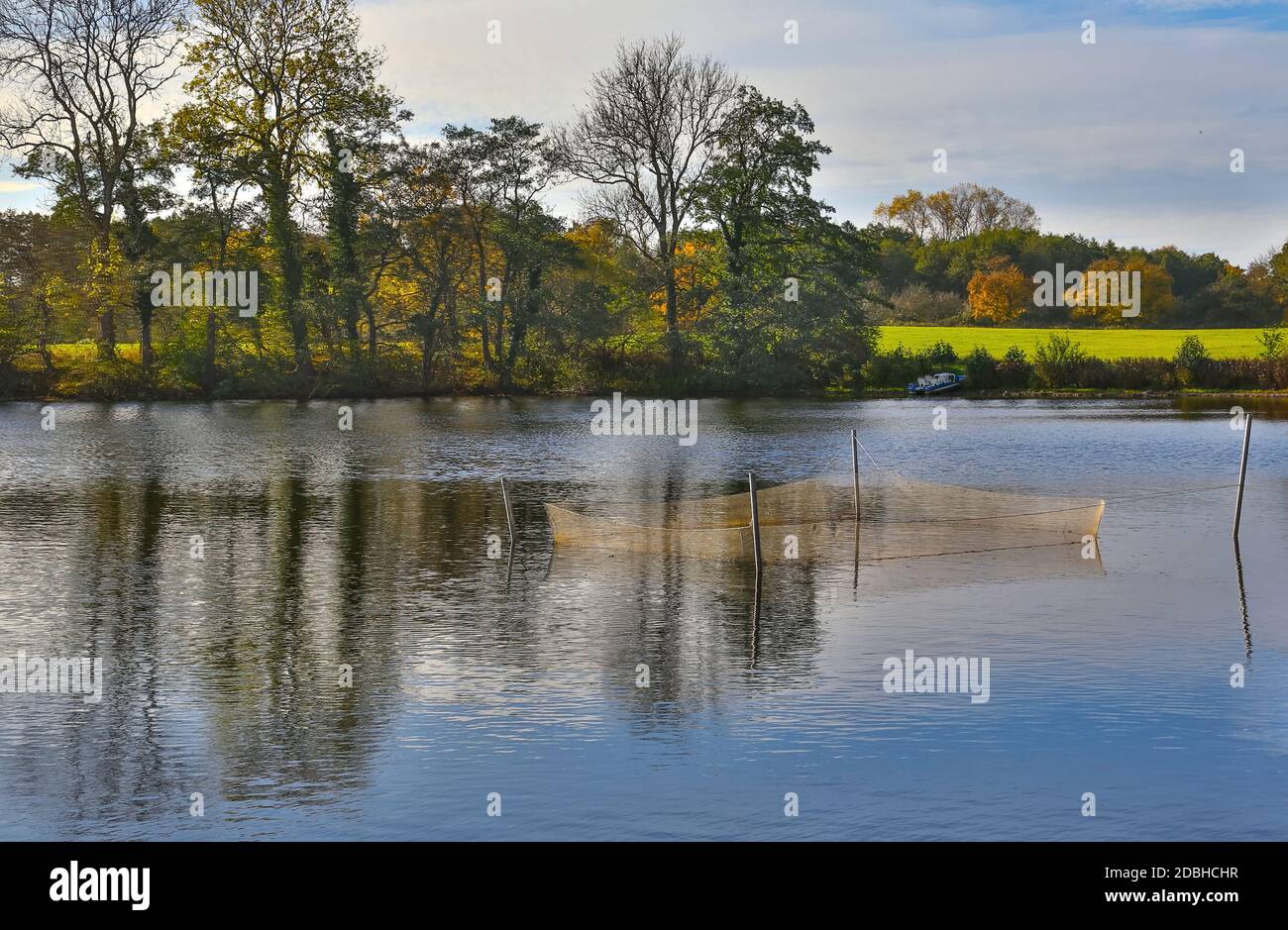 Gillnets dans le Kellersee, Allemagne. Banque D'Images