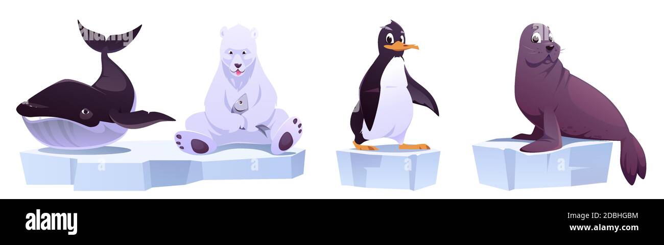 Dessins animés d'animaux sauvages sur des flotteurs de glace baleine de mer, ours blanc, pingouin et phoque. Les habitants du pôle Nord dans le parc du zoo ou en plein air. Bêtes dans la faune isolée sur fond blanc, illustration vectorielle, ensemble Illustration de Vecteur