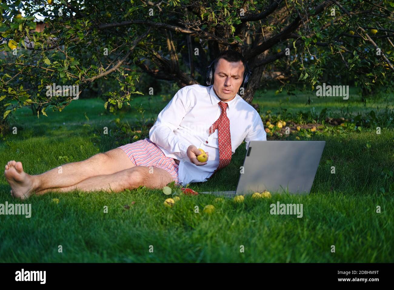Homme directeur travaillant dans le jardin, allongé sur la pelouse, tenant une réunion en ligne. Il porte une chemise avec une cravate, un sous-pantalon. Restez à la maison et Banque D'Images