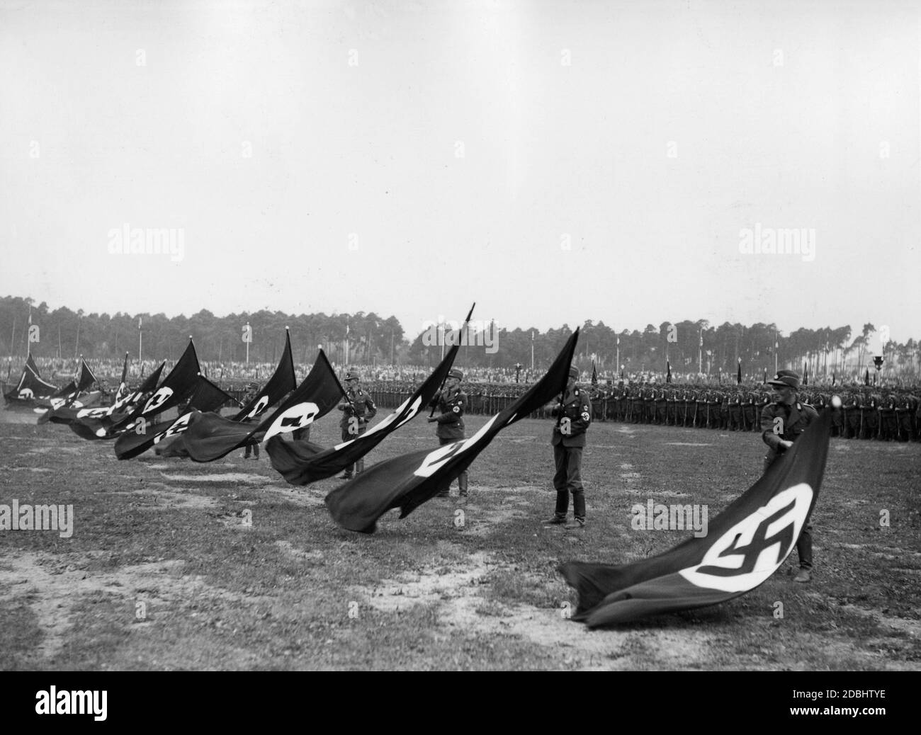 Des hommes du Reich Labour Service, qui ont participé à la parade sur le champ de Zeppelin pendant le Congrès du Parti nazi à Nuremberg, brandient des drapeaux de la croix gammée. Banque D'Images