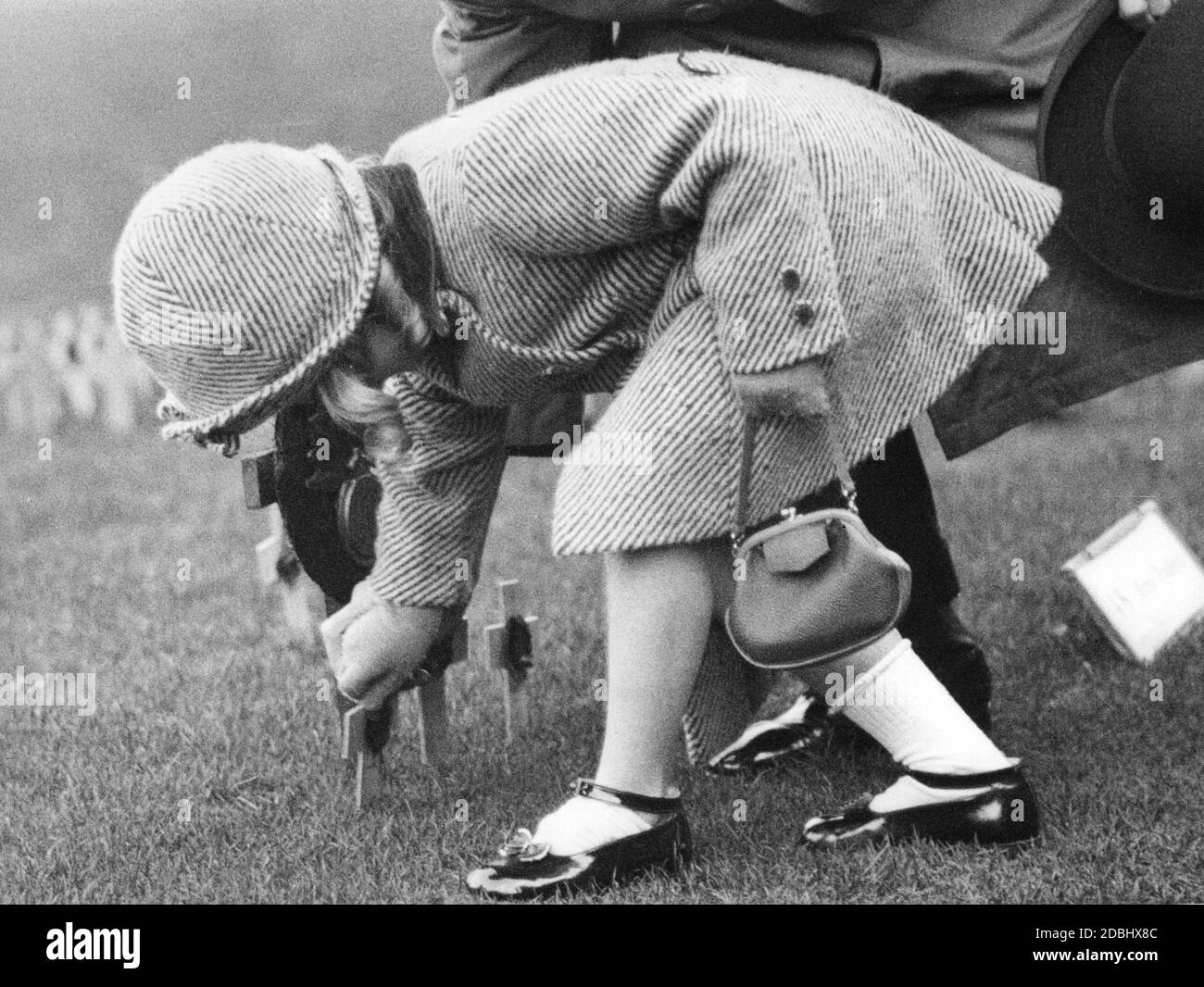 « le jour de l'armistice, une petite fille croise une croix en bois sur la pelouse du « champ du souvenir » à l'abbaye de Westminster à Londres. » Banque D'Images