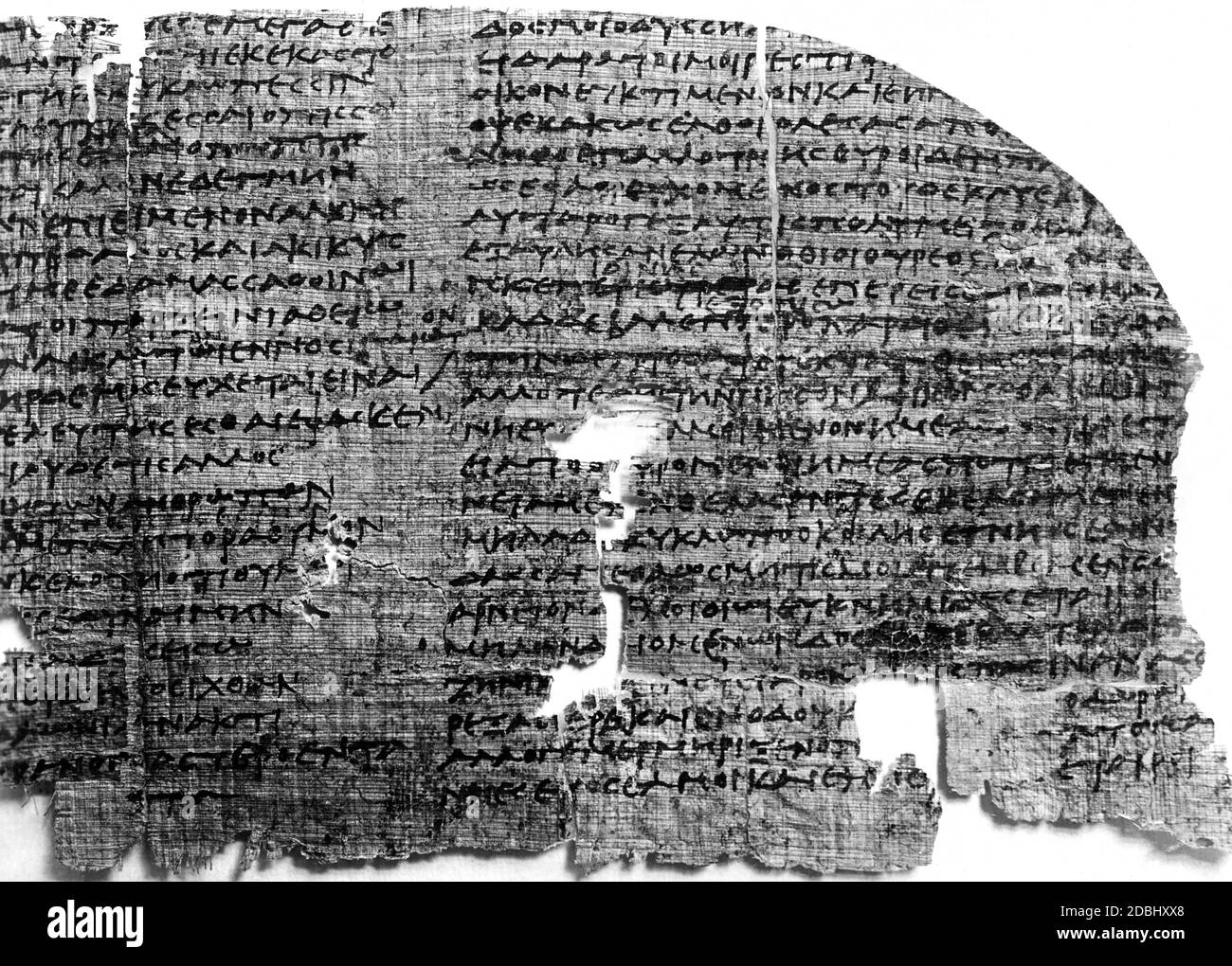 Un papyrus égyptien de 225 av. J.-C. avec des fragments de l'Odyssée. Banque D'Images