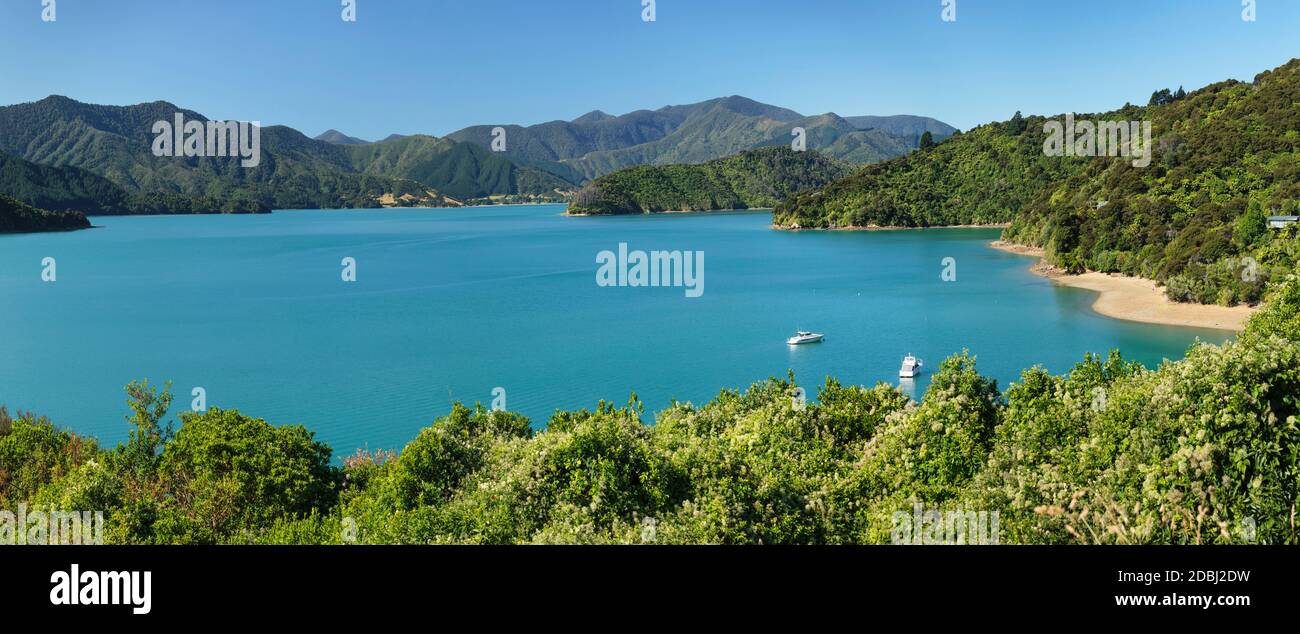 Paysage côtier à Keneburu Sound, Queen Charlotte Track, Marlborough Sounds, Picton, South Island, Nouvelle-Zélande, Pacifique Banque D'Images