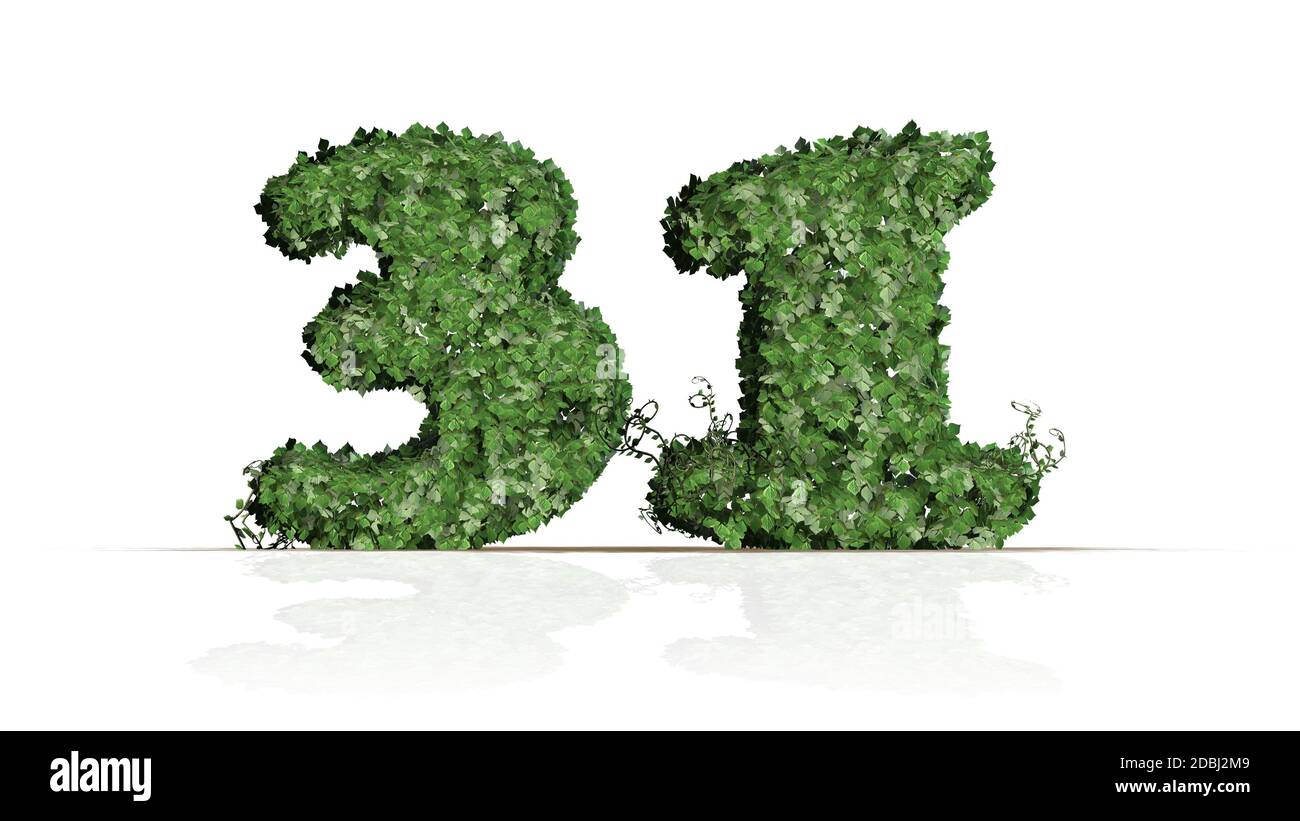 Numéro 31 créé de feuilles de lierre verte - isolé sur fond blanc Banque D'Images