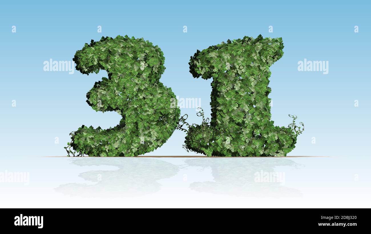 Numéro 31 créé de feuilles de lierre verte Banque D'Images