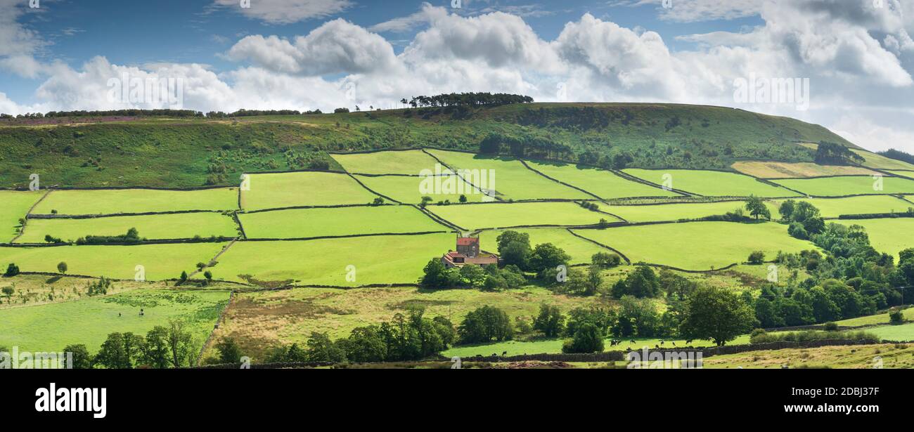 Champs verts et landes recouvertes de bruyère à Little Fryup Dale près de Danby, le parc national des North Yorkshire Moors, Yorkshire, Angleterre, Royaume-Uni Banque D'Images
