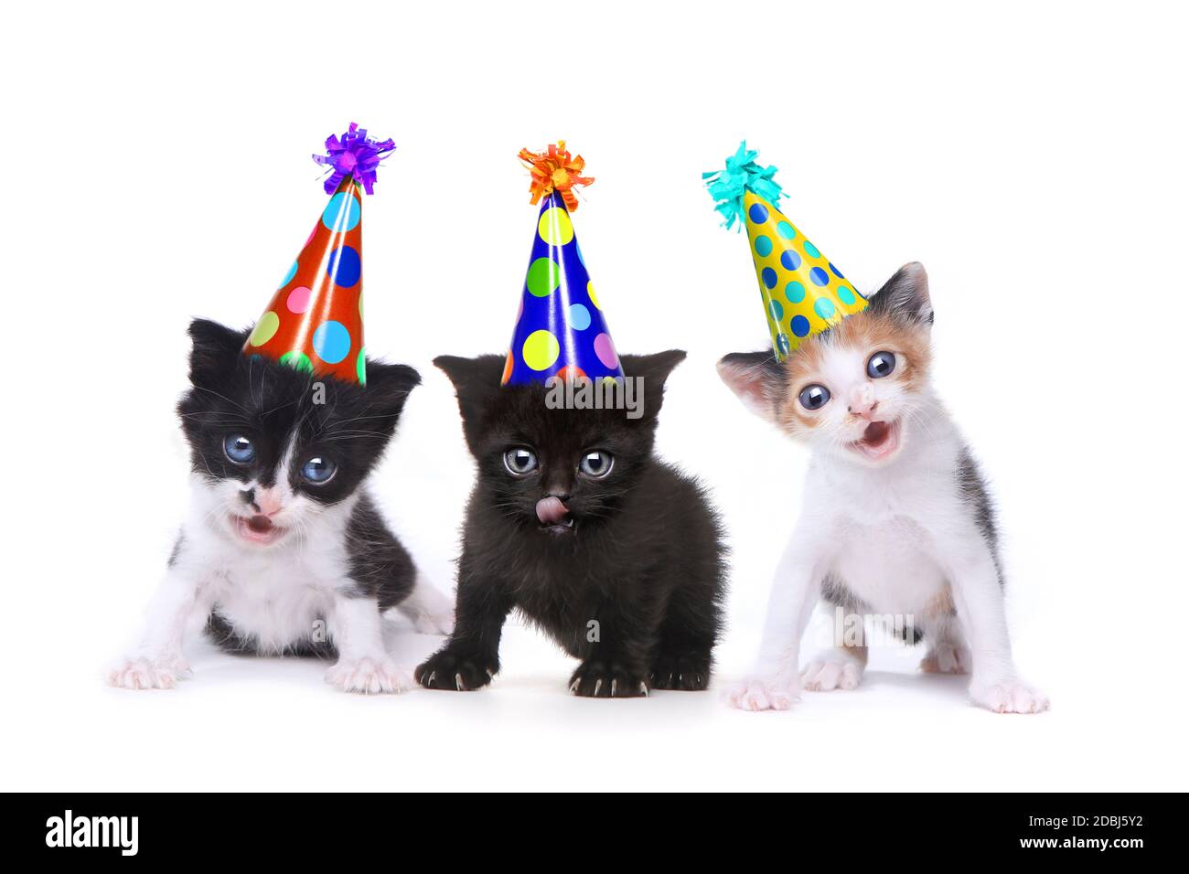 Singing Happy Birthday Banque D Image Et Photos Alamy