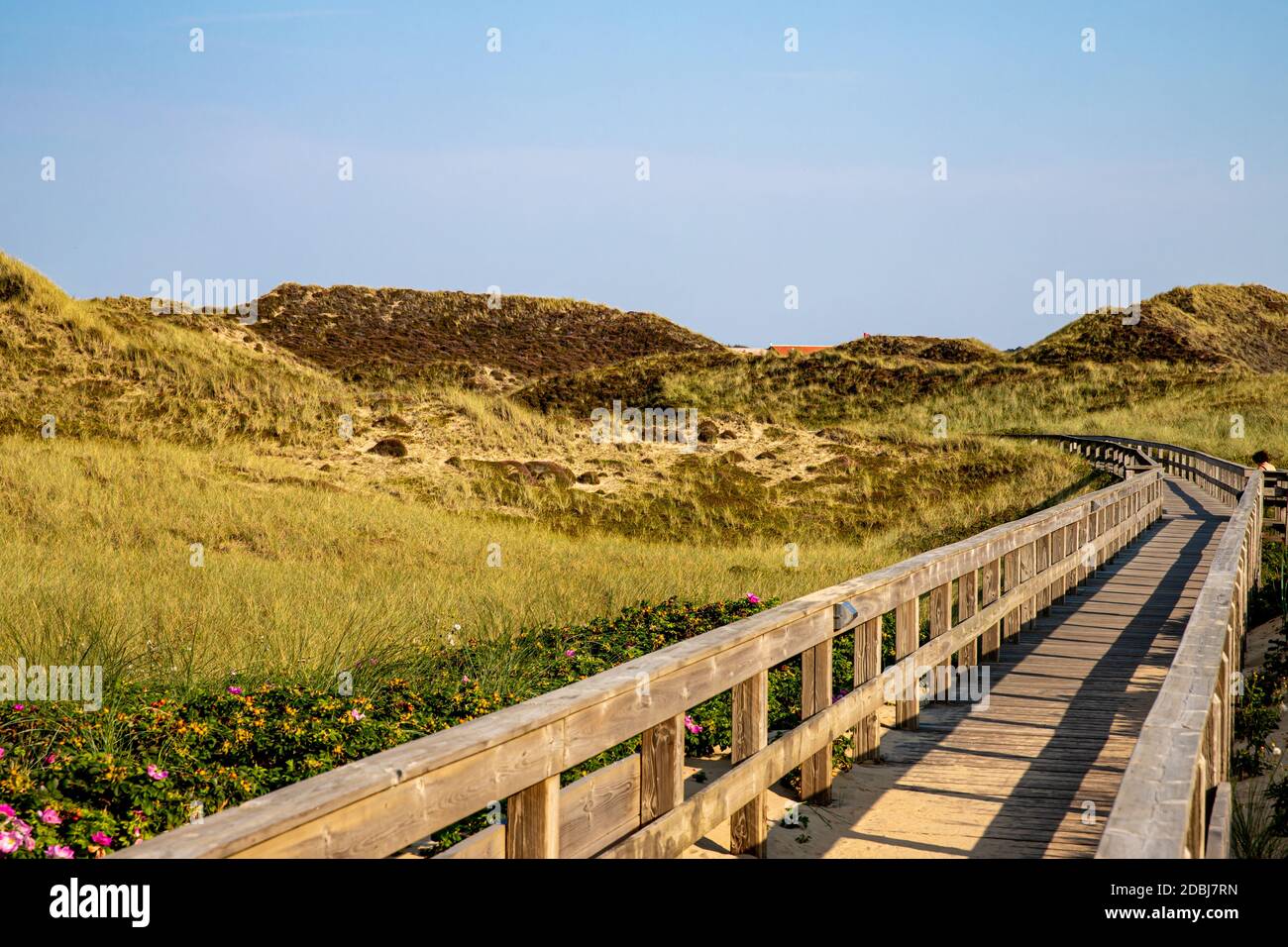 Chemin en bois du camping de Wenningstedt Banque D'Images