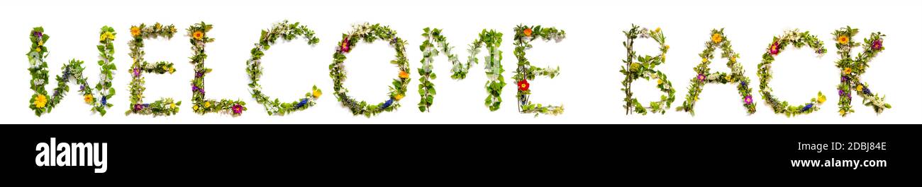 Fleur, branches et Blossom lettre Bâtiment Mot anglais Bienvenue Retour. Arrière-plan isolé blanc Banque D'Images