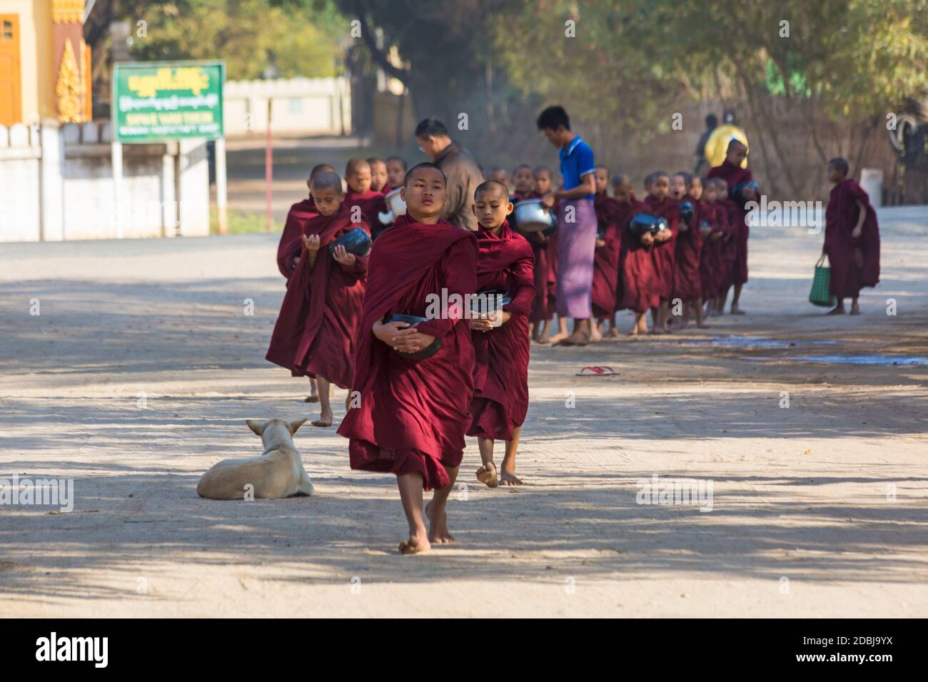 Procession de moines bouddhistes collectant des almes à Bagan, Myanmar (Birmanie), Asie en février Banque D'Images