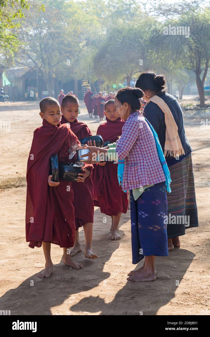 Procession de moines bouddhistes collectant des almes à Bagan, Myanmar (Birmanie), Asie en février - des femmes locales donnant du riz et de la nourriture Banque D'Images