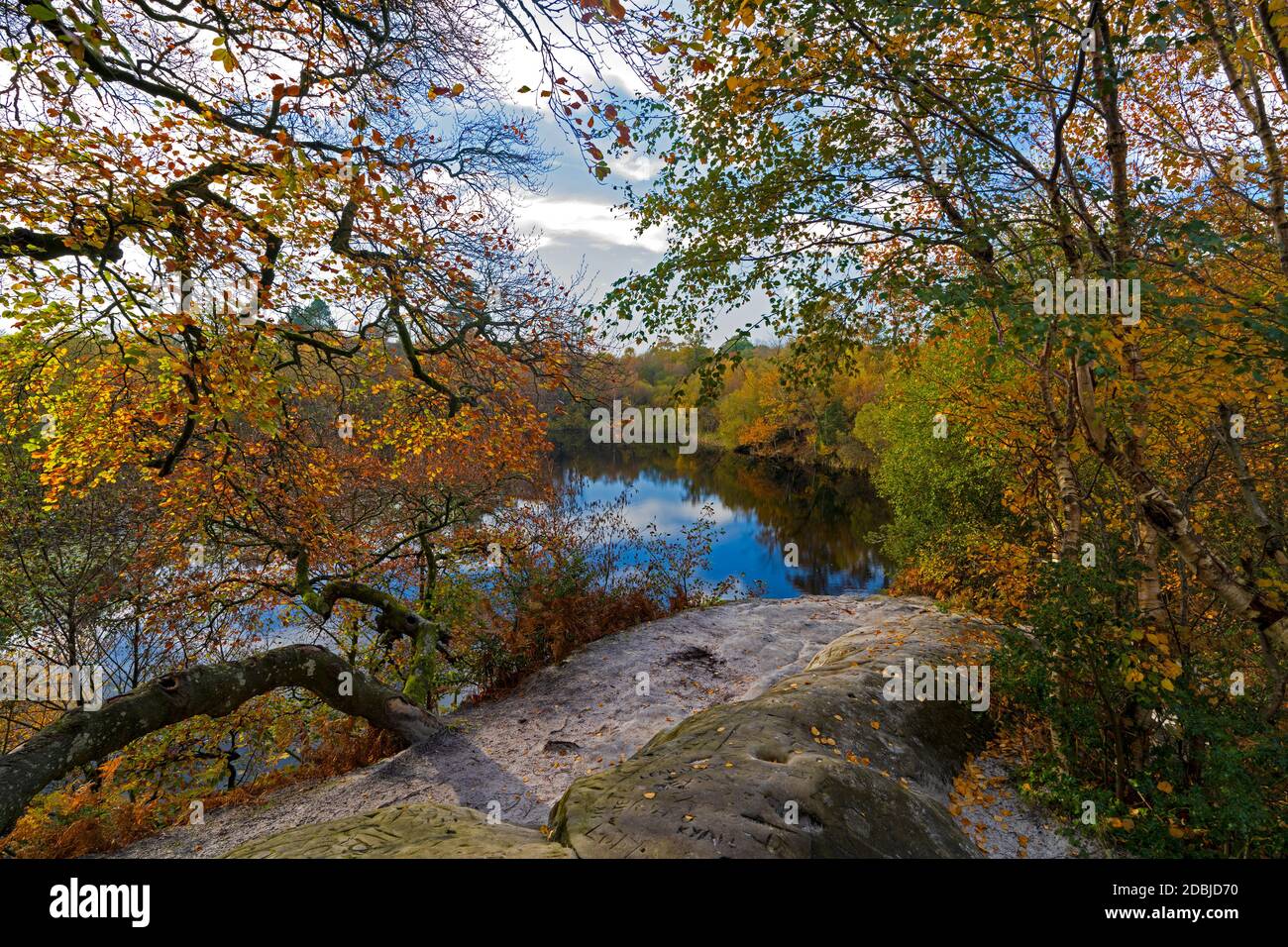 Automne à Lake Wood, UckFiled, East Sussex, Angleterre, Royaume-Uni. Banque D'Images