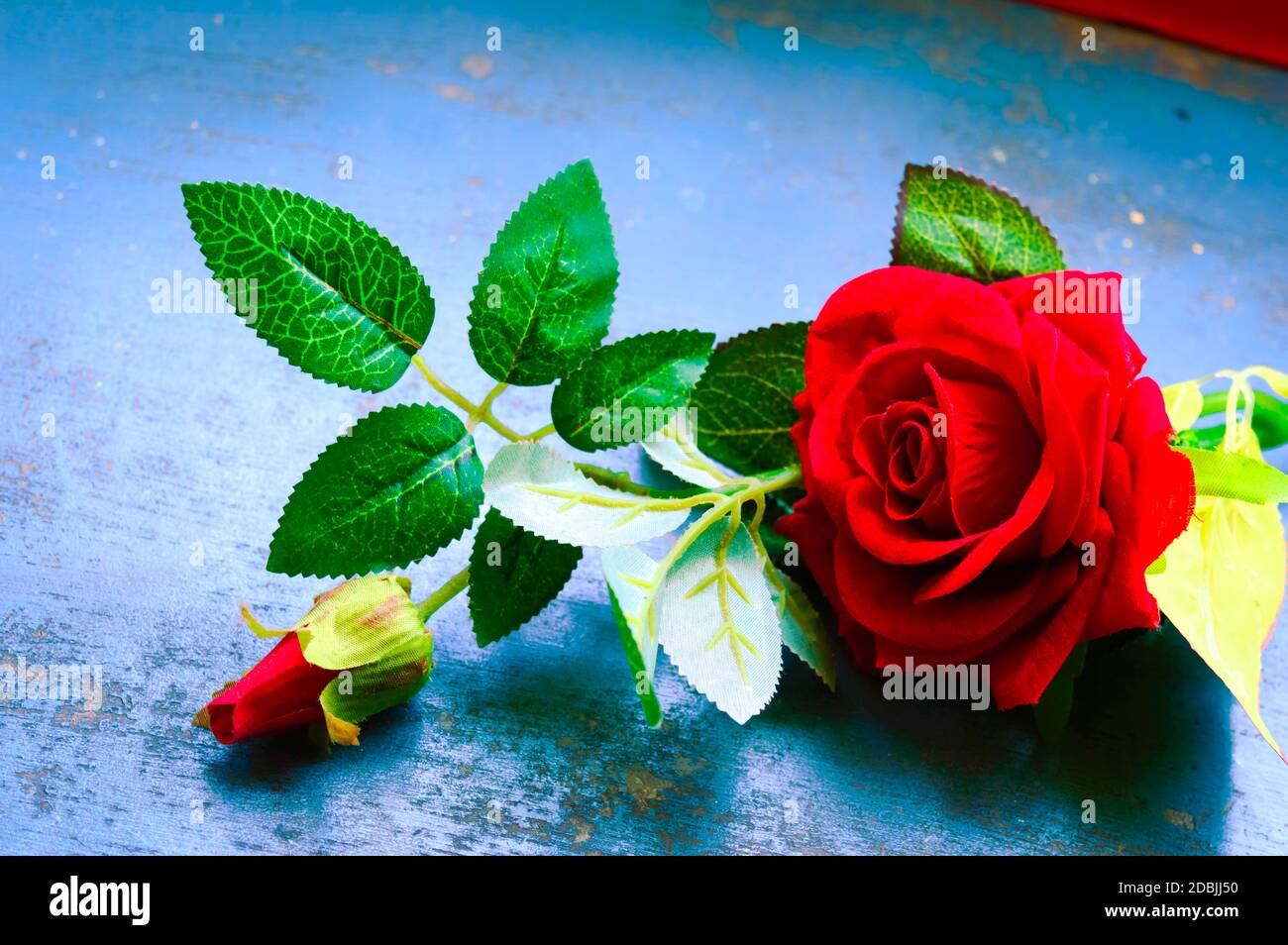 Fleur de rose rouge sur un sol rustique. Nature encore la vie amour romantique thème de fond. Papier peint web bannière design décoration pour l'amitié et la Valentin Banque D'Images
