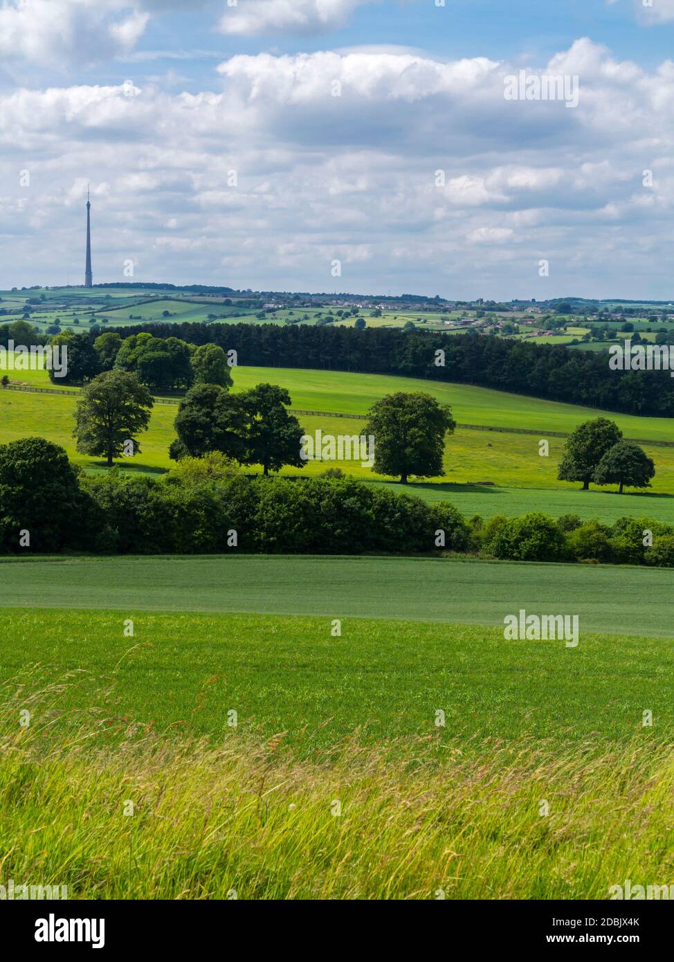 Vue sur la campagne du West Yorkshire près de Wakefield, au nord de l'Angleterre, avec l'émetteur de télévision Emley Moor visible à l'horizon. Banque D'Images